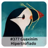 E377 Guaxinim Hipertrofiado