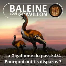 BEST OF D'ÉTÉ #28 La Gigafaune du passé 4/4 : Pourquoi ont-ils disparu ? (Pierre-Olivier Antoine )