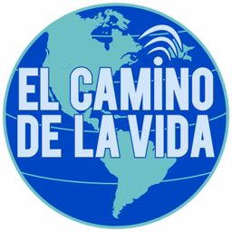 Reflexión Para Hoy