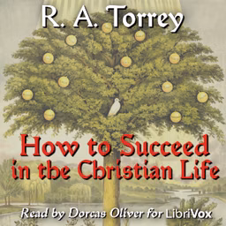 How to Succeed in the Christian Life