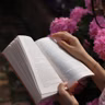 林瑶的秘密（毕飞宇：阿木的婚事之二）