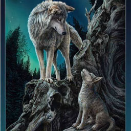 alfawolves