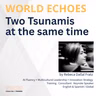 Two Tsunamis at the same time