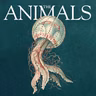 The Animals: Deirdre, Jellyfish