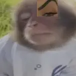 161161