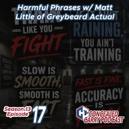 S13E17: Harmful Phrases w/ Matt Little of Greybeard Actual