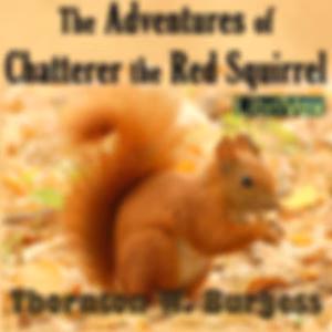 Adventures of Chatterer the Red Squirrel, The by Thornton W. Burgess (1874 - 1965)