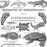 Glossary I-Z