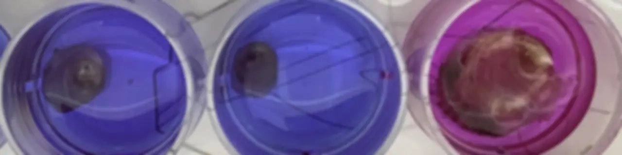 Gene Pooling