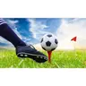 Initiation au Foot Golf au Golf de La Largue à Mooslargue le 11 juillet