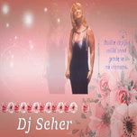 Radio Seher