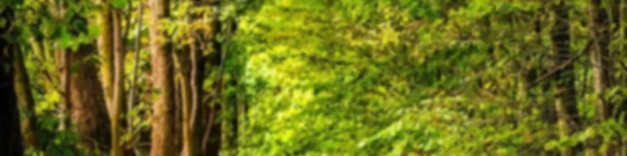 Into the woods with Flow