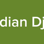 RadioVibez Indian Dj And Remixes