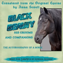 Black Beauty (version 4)