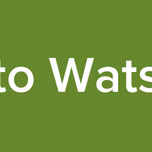 Pato Watson