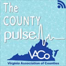 Energy Landscape of Virginia Episode 27 | Electric Power in Virginia: The Essentials for Decision Makers