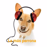 kawai radio mx
