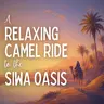 A Relaxing Camel Ride to the Siwa Oasis (Egypt #2)
