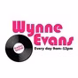 The Wynne Evans Show