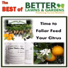 S2 Ep462: Best of Better Lawns and Gardens - Hour 1  Citrus Foliar Feeding July 4, 2026