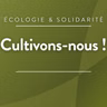 Multipliez vos plantes vivaces!