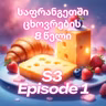 3.1. რვა წელი საფრანგეთში