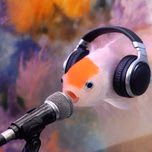 FOSHY 102.4 FM