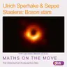 Ulrich Sperhake and Seppe Staelens: Boson stars