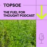 Building a Hempire: SGP’s bioenergy journey