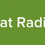 Bat Radio