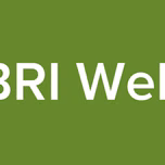 BRI Web