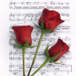 ROSE RADIO STATION