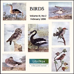 Birds, Vol. III, No 2, February 1898 by Various