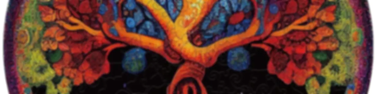 Spiritualita a vše ostatní