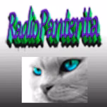 RADIO PANTERITA