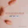 Bes-teas: Friendship/Relationship - Don't Cry Over Spilled Tea…or Do?