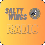 SaltyWings Radio