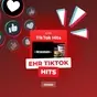 EHR TikTok Hits