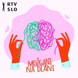 Možgani na dlani