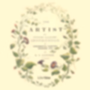Artist, The by B. F.  Gandee