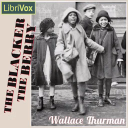 Blacker the Berry, The by Wallace Thurman (1902 - 1934)