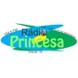 Rádio Princesa 104.9 FM