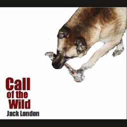 Call of the Wild, The by Jack London (1876 - 1916)