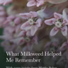 What the Milkweed Helped Me Remember