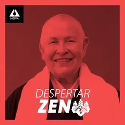 Limpeza, Cuidado e Simplicidade | Monja Coen