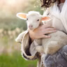 Gospel Reflection- 4th Sunday of Easter( The Good Shepherd Sunday)