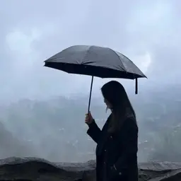 北野武:人类的感情正变得越来越粗鄙