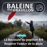 S08E15 La Boussole céleste du papillon 4/4 : Pourquoi on aime tant l'odeur de la pluie ? (Benoît Prospero)