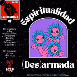 ESPIRITUALIDAD (DES)ARMADA