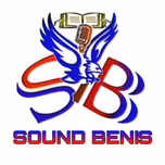 RADIO TELE SOUND BENIS